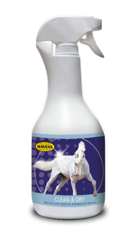HAVENS Equiforce Care Clean & Dry  1l - suchy szampon 