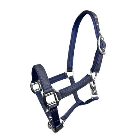 Kantar źrebięcy ASTON YORK  