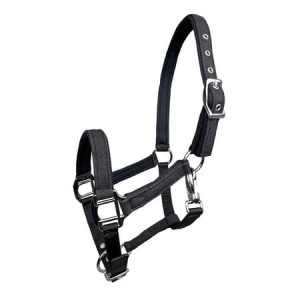 Kantar źrebięcy ASTON YORK 