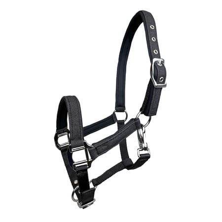 Kantar źrebięcy ASTON YORK 