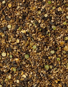 SARACEN Kentucky Balancer 20kg musli dla koni wyscigowych