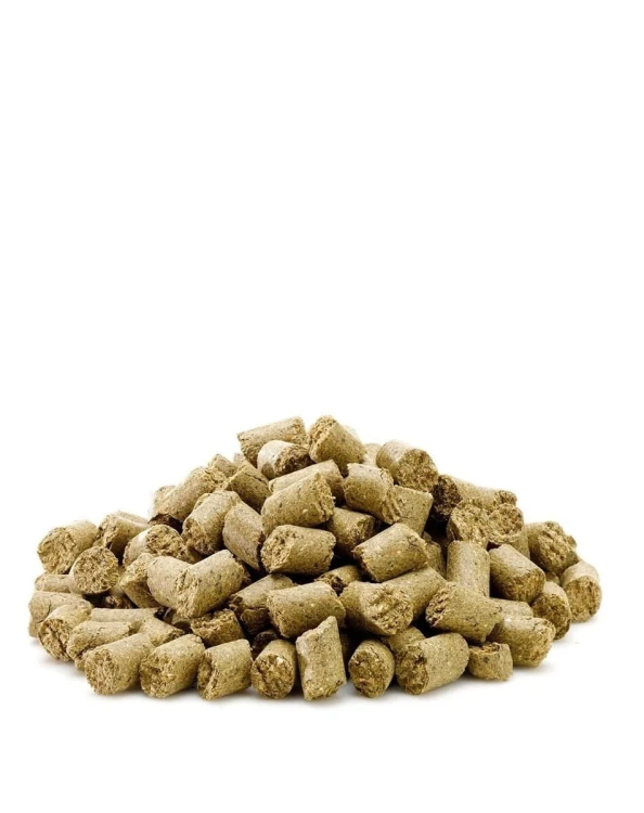Saracen Munchies.jpg