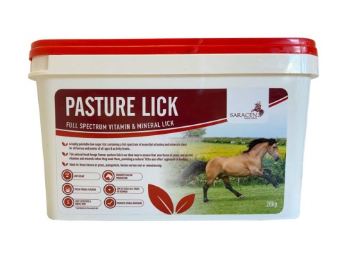 SARACEN Pasture Lick 10kg lizawka dla koni