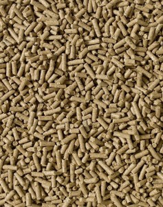 SARACEN Recoup Cubes 20kg niskoenergetyczna pasza dla koni wyścigowych