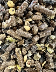 SARACEN Veteran Balancer 20kg koncentrat dla koni straszych