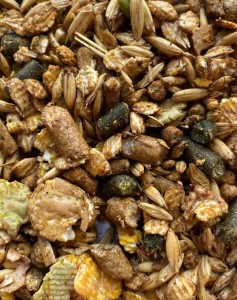 SARACEN Ewe and Lamb Mix 20kg pasza dla owiec oraz jagniąt