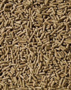 SARACEN RaceFit Cubes 20kg pasza dla koni wyścigowych o niskiej zawartości skrobi