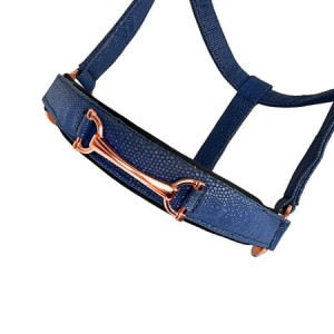 Kantar Horsenjoy Heidi 