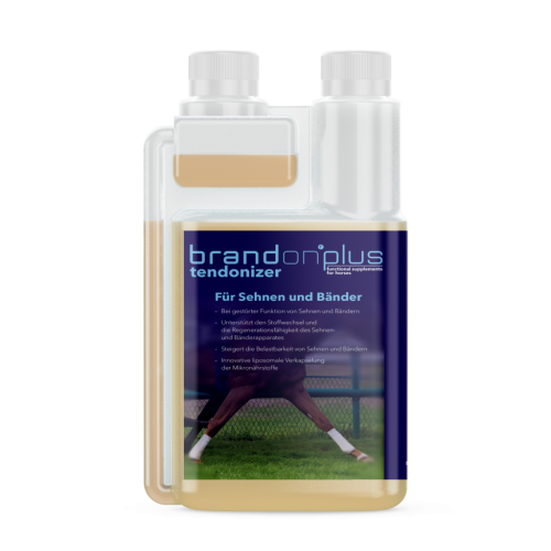 BRANDON Plus Tendonizer 1,2l wsparcie układu ruchu