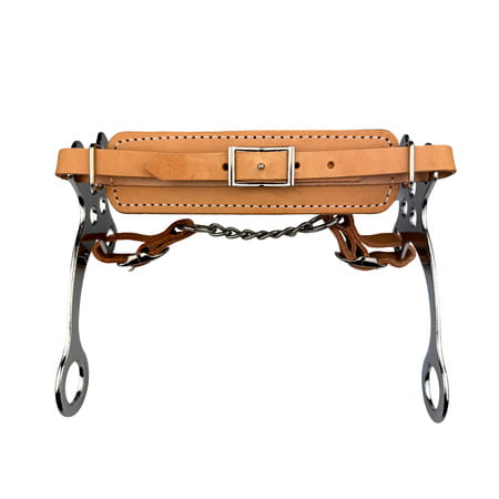 Hackamore York Hana.jpg