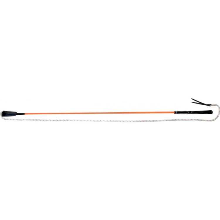 whip-go-ethological-stick.jpg