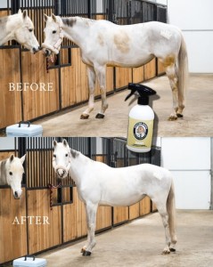 DOCTOR HORSE Suchy - Szampon bez Spłukiwania 500 ml