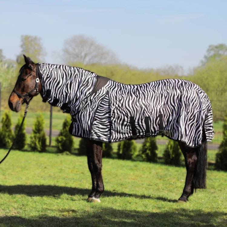pol_pl_Derka-York-siatkowa-z-kapturem-Zebra-9932_1.jpg