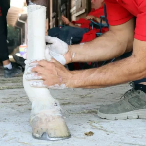 UNIKA Comfort Wrap - owijka chodząca regenerująca na dwie nogi