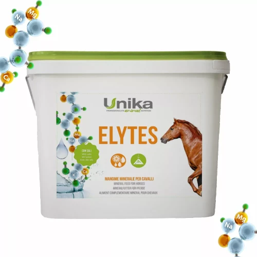 UNIKA Elytes 8kg elektrolity dla koni