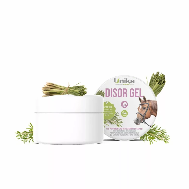 Disor-gel-01-jpg.webp