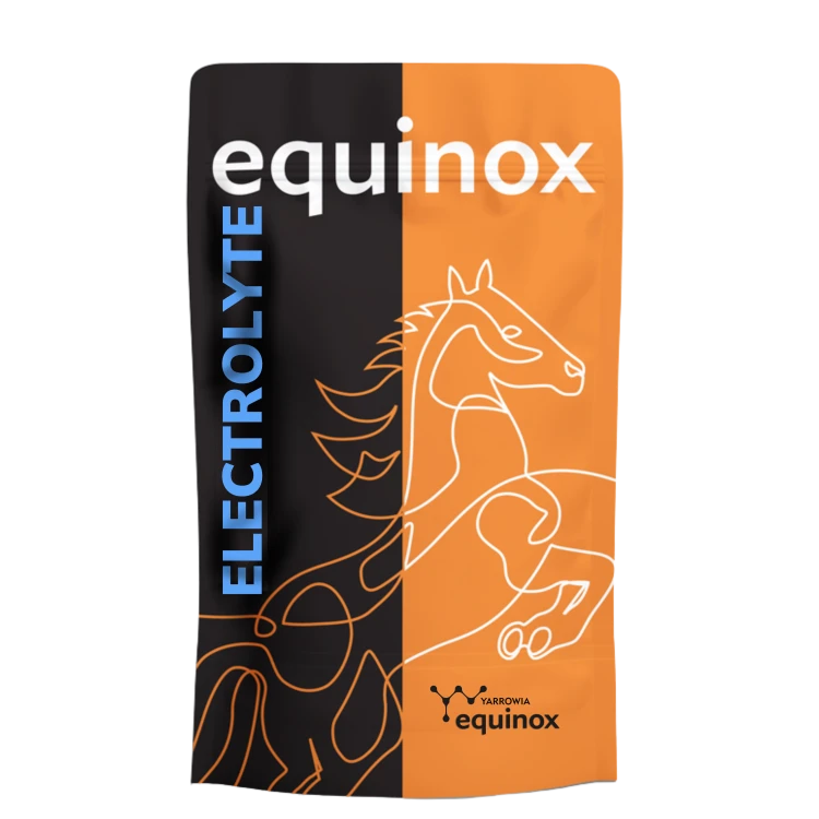 EQUINOX-Electrolyte-09-kg-18-kg-59055675650905905567565083.png
