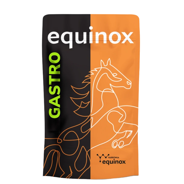 EQUINOX-Gastro-18-kg-5905567565120-09-kg-5905567565137.png
