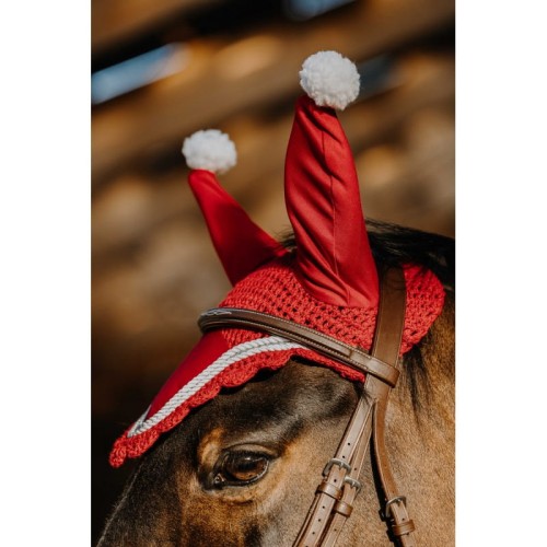 bonnet-equitheme-xmas (1).jpg