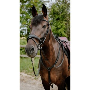 Ogłowie rajdowe ENDURANCE z PVC