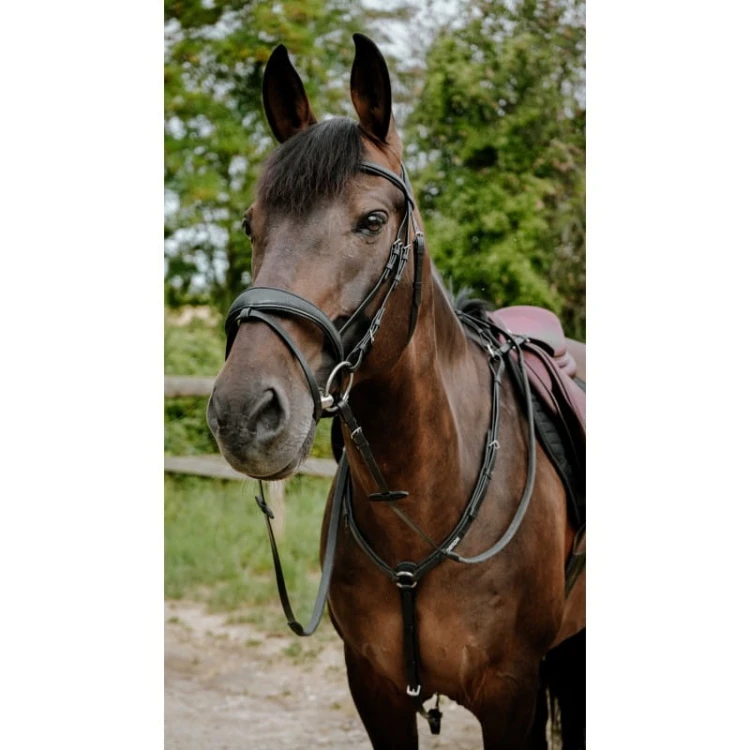 bridon-endurance-norton-pop (1).jpg