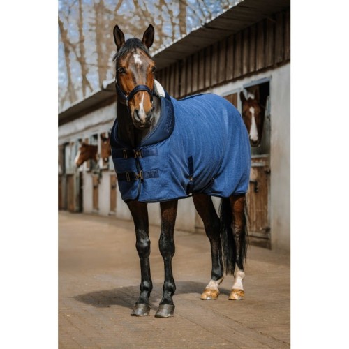 chemise-equitheme-confortech (1).jpg