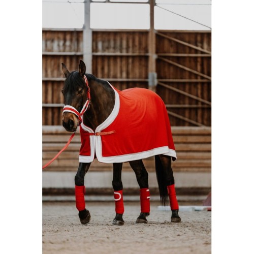 chemise-equitheme-xmas (1).jpg