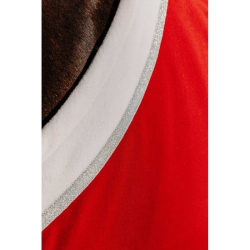 chemise-equitheme-xmas.jpg