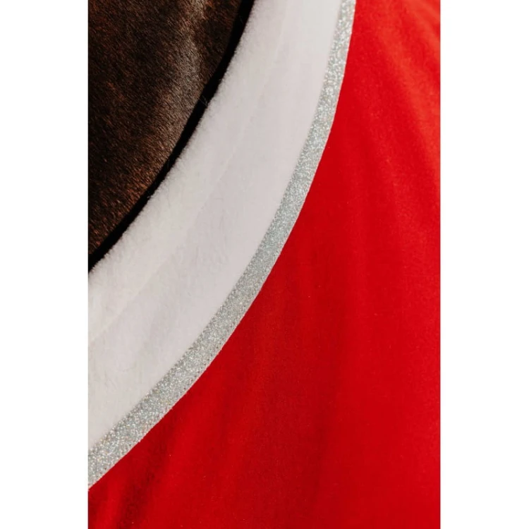 chemise-equitheme-xmas.jpg