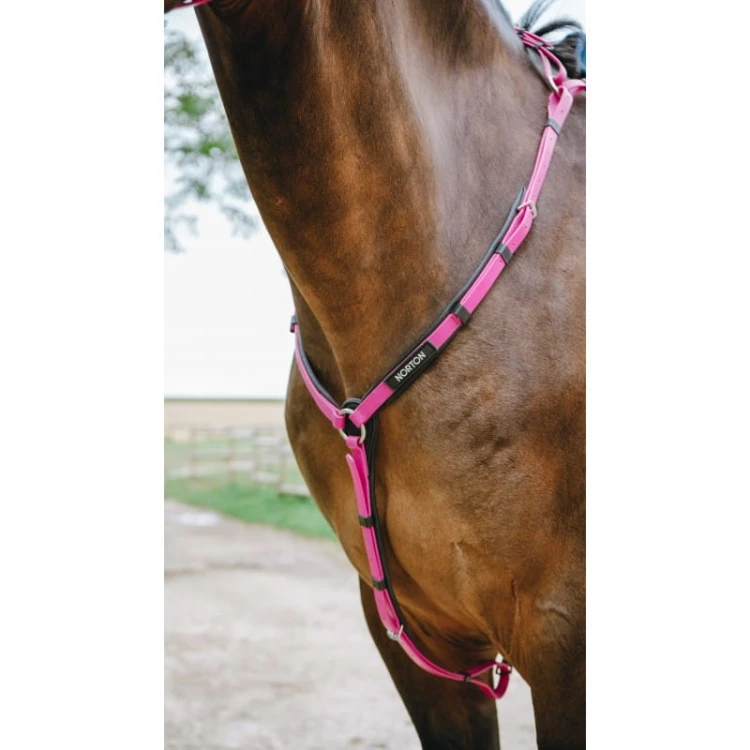 collier-de-chasse-endurance-norton-pop (4).jpg