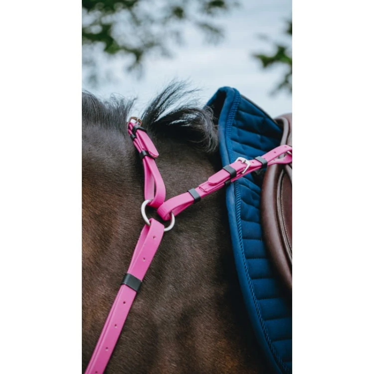 collier-de-chasse-endurance-norton-pop (3).jpg