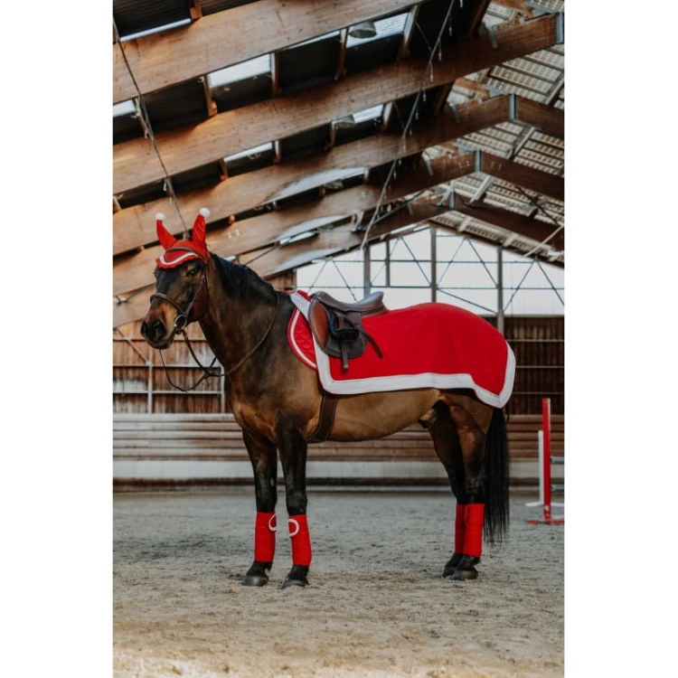 couvre-reins-equitheme-xmas (1).jpg