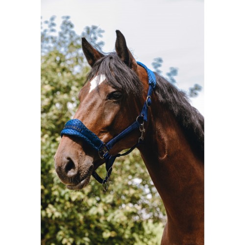 Kantar EQUITHEME Anatomical 3D