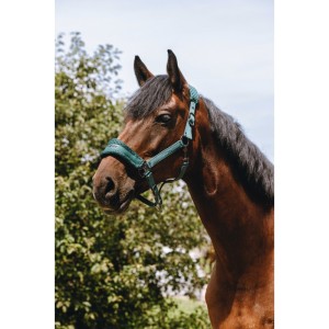 Kantar EQUITHEME Anatomical 3D