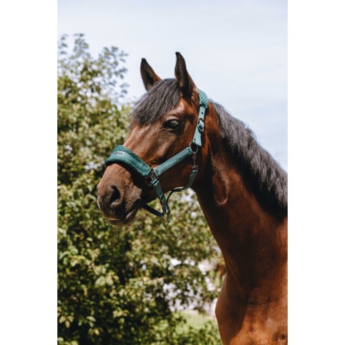 Kantar EQUITHEME Anatomical 3D