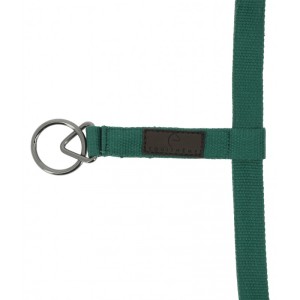 Kantar EQUITHEME Anatomical 3D