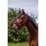 Kantar EQUITHEME Anatomical 3D