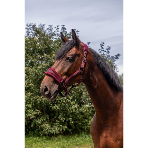 Kantar EQUITHEME Anatomical 3D