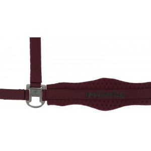 Kantar EQUITHEME Anatomical 3D