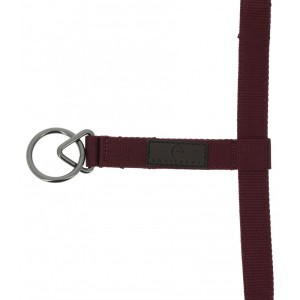 Kantar EQUITHEME Anatomical 3D