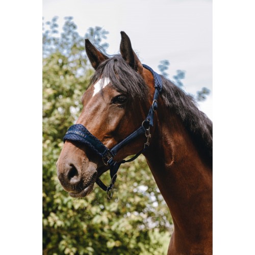 Kantar EQUITHEME Anatomical 3D