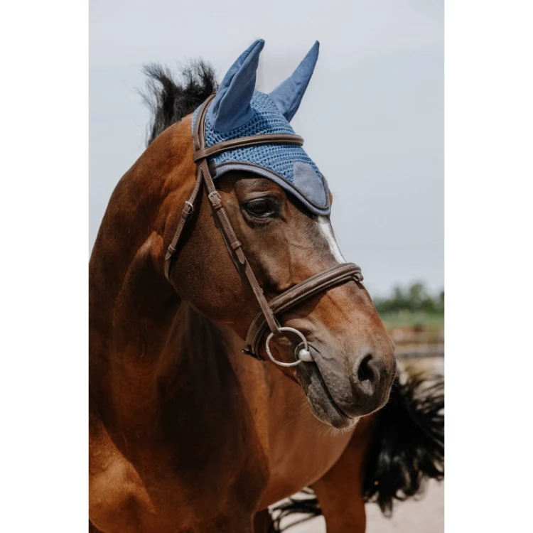 Nauszniki dla konia EQUITHEME CHIC BLUE 2.jpg