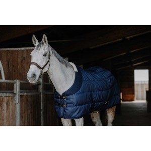 Derka stajenna dla konia EQUITHEME Confortech 200g