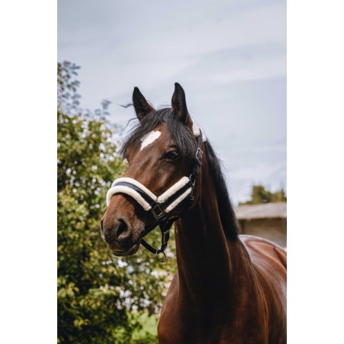 Kantar dla konia Fashion Equitheme