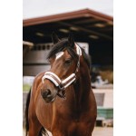 Kantar dla konia Fashion Equitheme