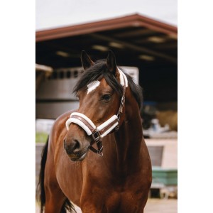 Kantar dla konia Fashion Equitheme