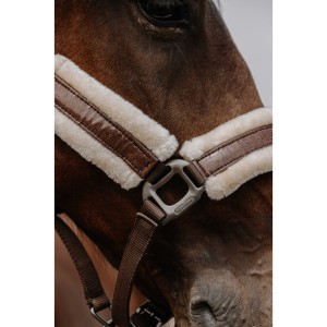 Kantar dla konia Fashion Equitheme