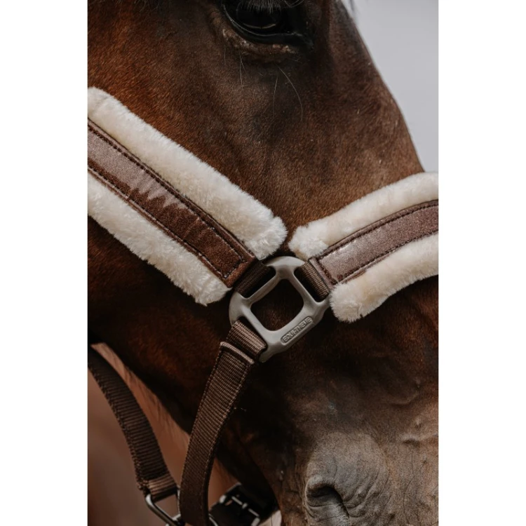 Kantar dla konia Fashion Equitheme brozowy 1.jpg