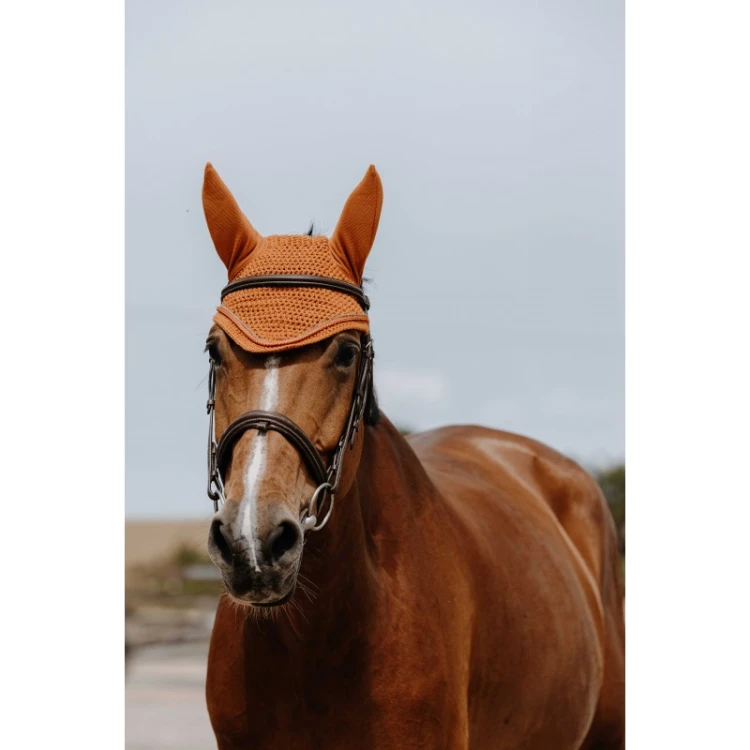 Nauszniki dla konia Hexalight Equitheme orange 1.jpg