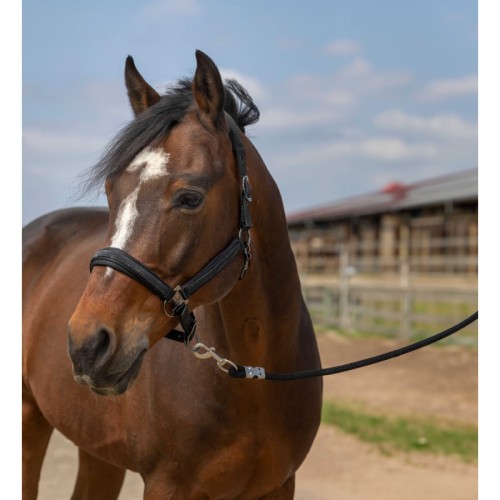 EquiTheme Kantar dla konia Strass - czarny